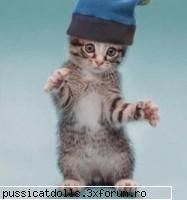 :razz: pisica